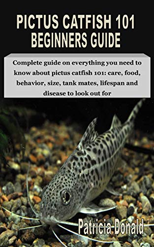 Catfish 101 Clearance