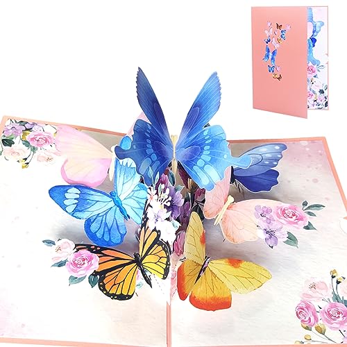 題名『幸運を呼ぶ蝶々』 題名『幸運を呼ぶ蝶々』