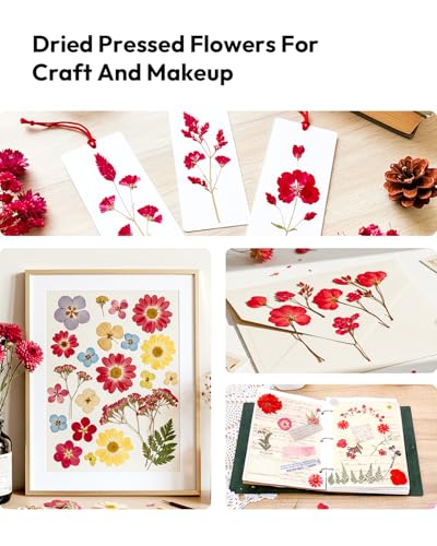 Image of Dried Flowers, Resiners 174Pcs Pressed Flowers for Craft Red Real Natural Dried Flowers Dry Leaves Kit for DIY Making Crafts Resin Soap Candle Scrapbook Supplies Card Making Jewelry
