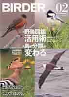 Amazon.com: BIRDER (バーダー) 2013年 02月号 野鳥図鑑活用術