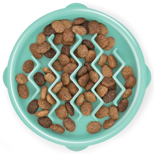 Outward Hound Fun Feeder Slo-Bowl - Comedero con obstáculos para Perros - Verde Menta - Pequeño/extrapequeño