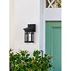 Westinghouse 6120800 Burnham Craftsman-Style One Light Outdoor Wall Fixture, Textured Black Finish, Clear Seeded Glass #1