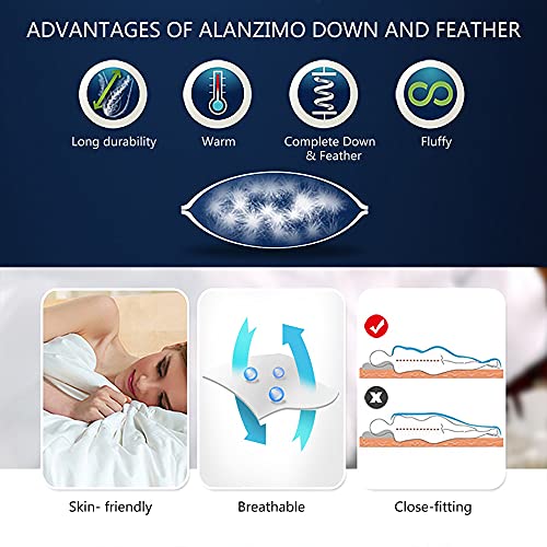 Alanzimo Luxury Goose Feather Down Comforter Full/Queen Size All Season - Medium Warmth White Duvet Insert With 100% Soft Down-Proof Cotton Cover, 8 Corner Tabs 90X90 #TOP4