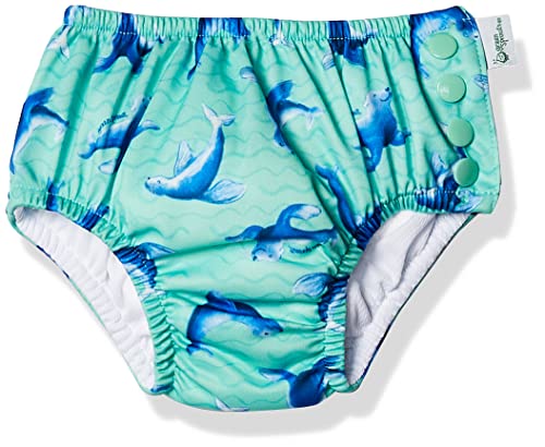 i Play Boys Reusable Absorbent Baby Swim Diapers Seafoam Sea Lions 12 Months