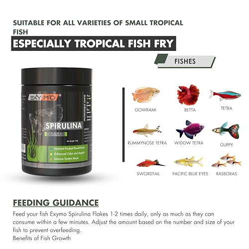 EXYMO-Spirulina-Flakes-Fish-Food-with-65-Protein-for-GuppyBetta-FishGuppy-FriesTettra-and-All-Types-of-Tropical-Fishes-etc100g-Pack-of-One
