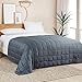 YnM Cooling Weighted Blanket — Oeko-Tex Certified Material (Blue Grey, 60