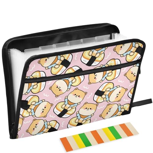 Porte-documents extensible 13 poches pour trier vos dossiers A4