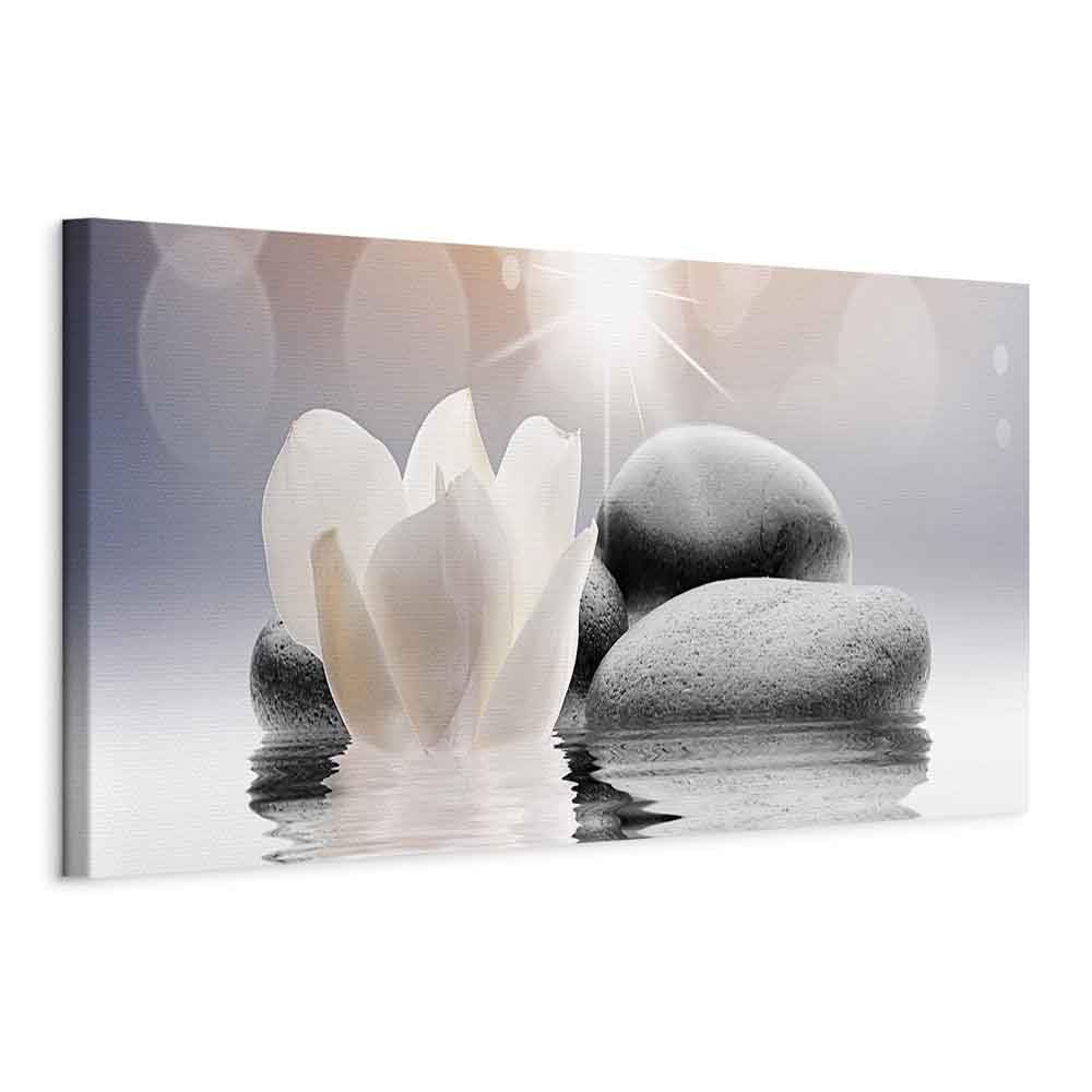 murando - Quadro Fiori Giglio 150x50 cm - 1 pezzo Stampa su Tela XXL Quadri Moderni Murale Moderno Grafica Decorazioni da Parete per il Soggiorno Floreale Pietre Beige Natura b-B-0268-b-a