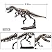 5 Different Dinosaur Skeleton Puzzles Model Set 3D Puzzles for Adults, DIY Skeleton Dinosaur Toys for Kids Ages 6 and Up