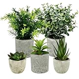 MFUSUL 5 Pieces Plantes Artificielle, Mini Plantes artificielles Interieur Serpentine, Griffe d'aigle Aloe Vera, Agave succulentes, Plante Artificielle pour Chambre Salle de Bain Bureau Décoration