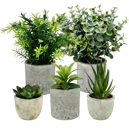 MFUSUL 5 Pezzi Piante Artificiali, Mini Piante Finte Serpentine, Agave