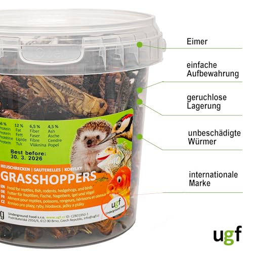 UGF - Getrocknete Heuschrecken - 65g im 500 Milliliter Eimer, Heuschrecken Insekten, Reptilienfutter, Nagetierefutter, Igelfutter, Eidechsenfutter, Vogelfutter Wildvögel Ganzjährig, Fischfutter