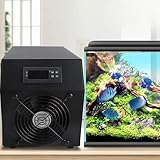 Syrisora B0DWFHVDLN lato 4