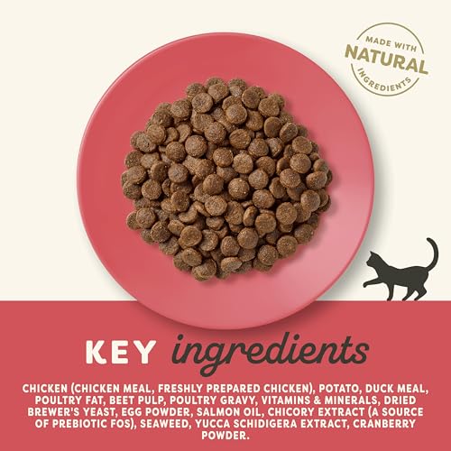 Applaws Complete and Grain Free Dry Cat Food 2kg, Chicken with Extra Duck for Adult Cats