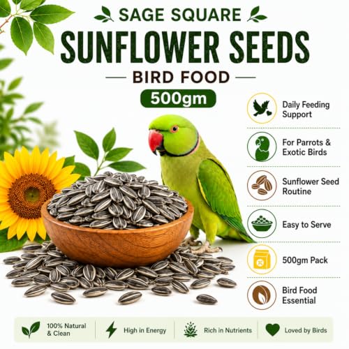 Image of Sage Square Bird Feeding Combo | Sunflower Seeds Bird Food 500gm + Stainless Steel Cage Feeder Bowl 250ml Set of 2 | Food, Seed, Water Serving Bowl for Parrot, Macaw, Cockatoo, Exotic Birds