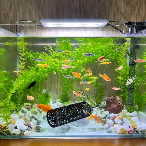 2 Piezas Betta Fish Tunnel Juguete, Escondite Hueco para Acuario con Ventosas Transparentes, Túneles Betta Huecos para Acuario, Decoración de Peces, para Peces Pequeños, Tetras, Peces Ornamentales — view 4