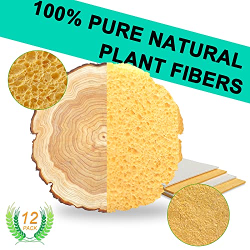 Image of 12-Count Extra Large Compressed Sponges Kitchen for Dishes, Sponges for Cleaning, Biodegradable Cellulose Compressed Sponges for Kitchen, Bathroom, Camper, Backpacker