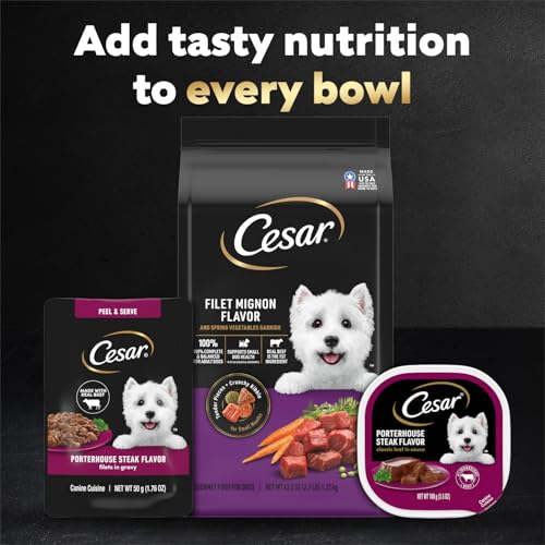 Image of Cesar Filets in Gravy Wet Dog Food, Porterhouse Steak Flavor, 1.76 oz. Mini-Pouch, 20 Count