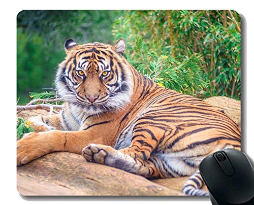 Mouse Pad with Locking Edge, Wild Tiger Mouse Pad with Stitched Edge
