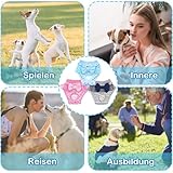 3 Stück Physiologische Hosen für Haustiere, Weiblich Hund Windel, Wiederverwendbare Hundewindel, Waschbar Hund Windeln Hose für weibliche Welpen und Hunde mit Harninkontinenz (M)