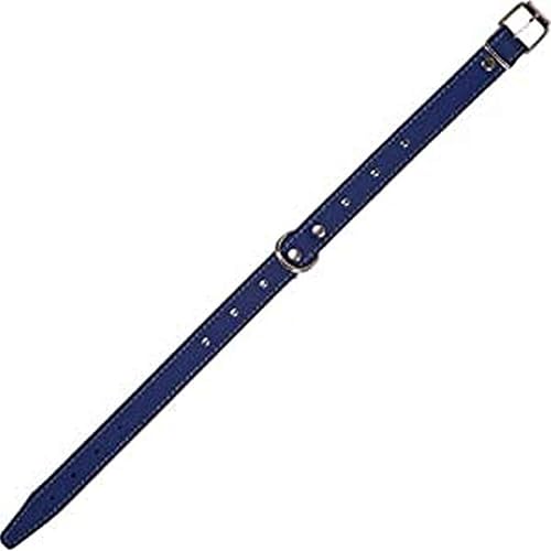 Arppe 195311530130 Collar Fornitura, Cuero F3D Amazone, Azul y Gris