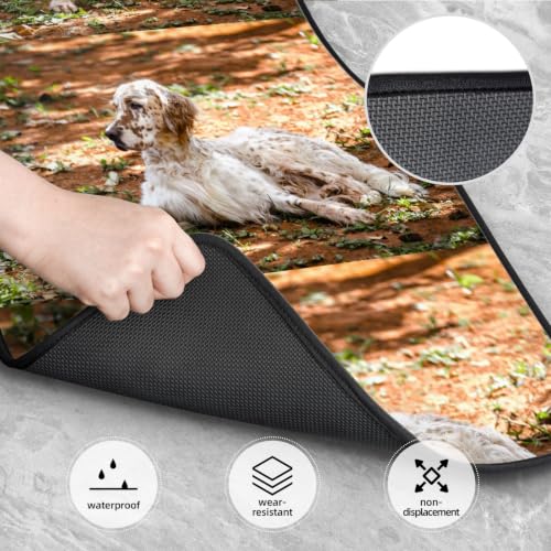 Alfombrillas coche Setter Inglés perro accesorios alfombrillas antideslizantes neopreno 4