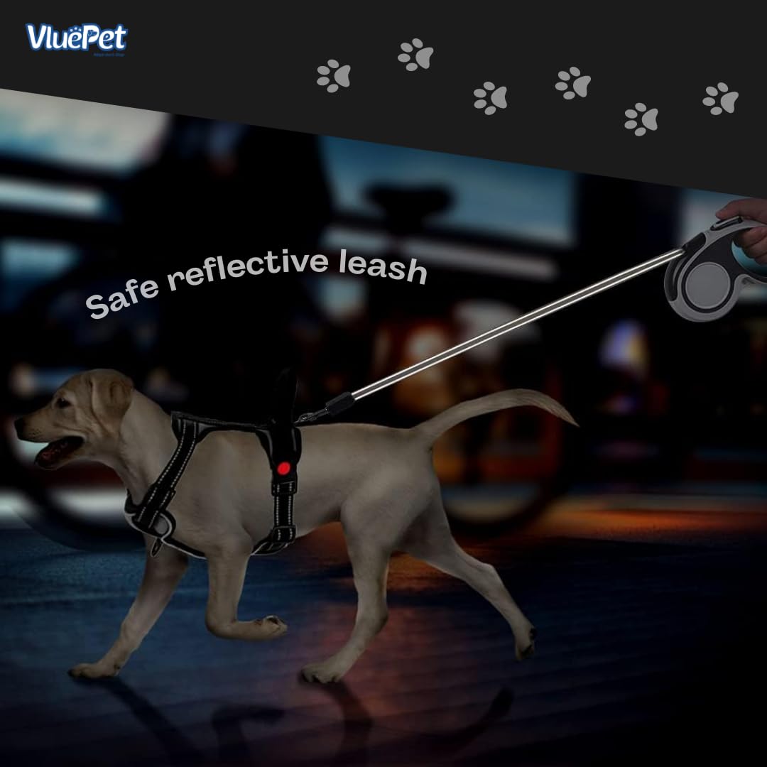 Amazon.com : Retractable Dog Leash 5M Traction | Long-Lasting Battery |  Ergonomic Comfort Handle and Anti- Slip Grip | Perfect All Dogs : Pet  Supplies