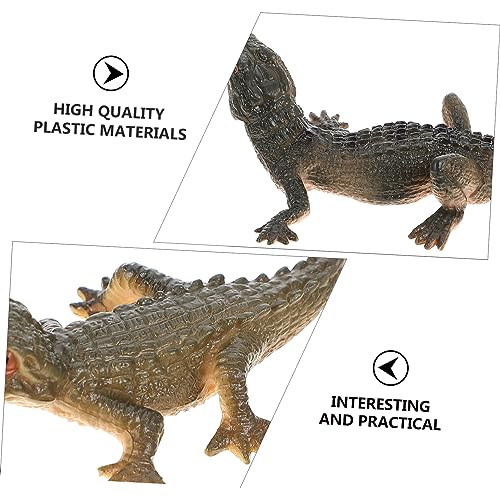 Toyvian 4 Set Modello del Ciclo di Crescita