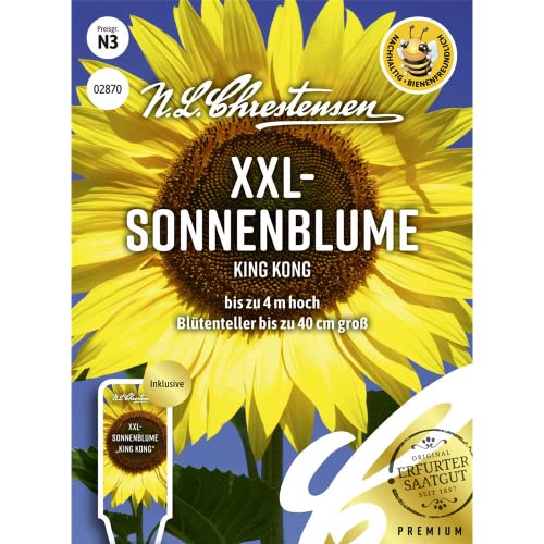 Kiepenkerl Sonnenblume King Kong – Riesen-Sonnenblume Bis 4,5 M Höhe