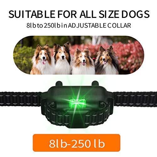 Patroaint Dog Training Collar with Three Training Modes, Waterproof Training Collar, Long Range up to 2600Ft - Image 7