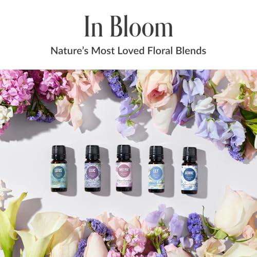 Image of Edens Garden Jasmine 100% Pure Essential Oil Blend 10 ml (.33 oz)