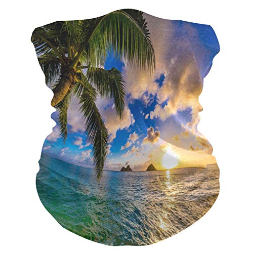 AUUXVA XLING Reusable Bandana Tropical Ocean Beach Palm Tree Sunset Face Sunscreen Mask Magic Scarf Neck Gaiters Headband Headscarf Balaclava for Women Men Kids Outdoors AUUXVA XLING Reusable Bandana Tropical Ocean Beach Palm Tree Sunset Face Sunscreen Mask Magic Scarf Neck Gaiters Headband Headscarf Balaclava for Women Men Kids Outdoors