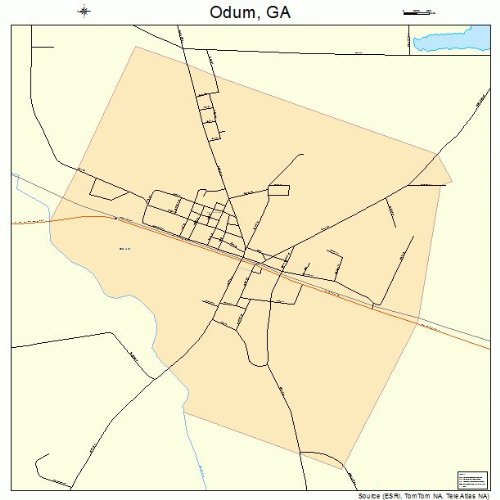 Large Street & Road Map of Odum, GA Printed poster size wall