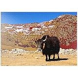 MyPuzzle Yak con Vistas Al Monasterio De Ganden En El Monte Drog, Tíbet, China - Premium 1000 Piezas Puzzles - Colección Especial MyPuzzle de Puzzle Galaxy