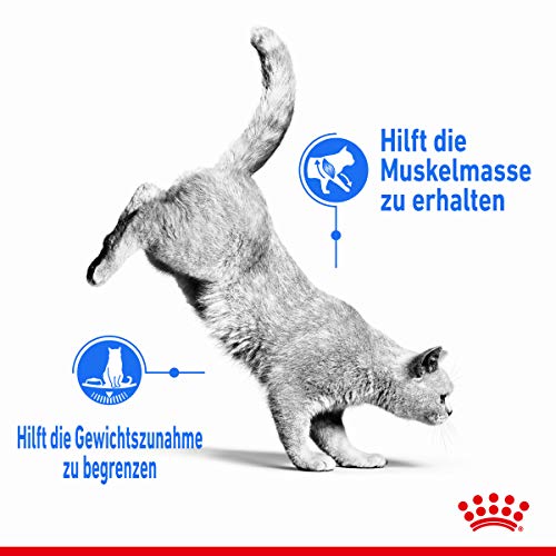Royal Canin Frischebeutel Light Weight in Sosse Multipack 12x85g
