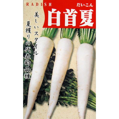 Amazon.co.jp: 大根 種 白首夏大根 小袋（約10ml） : DIY・工具・ガーデン
