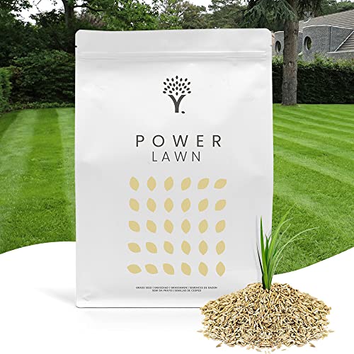 MOOWY | Sommer Power Rasensamen schnellkeimend inkl. online Guide | Der Turbo Sport und Spielrasen, Rasennachsaat, Gras, Grassamen schnellkeimend, Nachsaat Rasen, Rasen Nachsaat, Rasensaat | 100m²