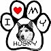 Imagine This 5-1/2-Inch by 5-1/2-Inch Car Magnet Picture Paw, Husky