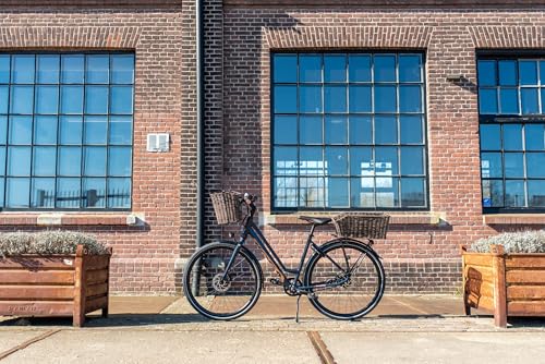 FastRider Fahrradkorb Hinten aus Plastikgeflecht 30L, Hundekorb Fahrrad Hinten für Gepäckträger, Hinterradkorb Inklusive Montage, Wetterbeständig - Braun