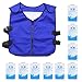 Abaodam Chaleco de enfriamiento de verano para bolsas de hielo de verano, chaqueta de enfriamiento impermeable para senderismo al aire libre, pesca de equitación (20 bolsas de hielo)