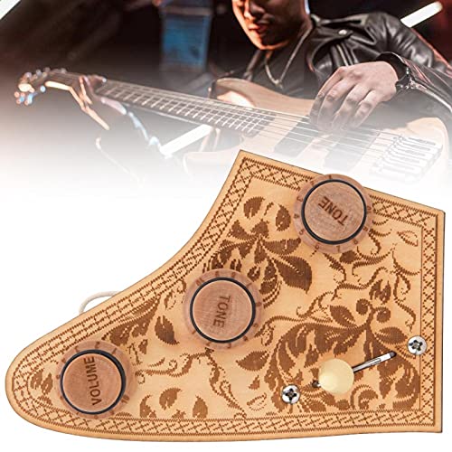 Fybida Prewired Guitar Amplifier Lightweight for Guitar Beginners for Guitar Lovers
