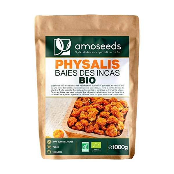 Baies Dorées Séchées Physalis – 40 G – Fruits Secs – AgoraMarket – Neuves