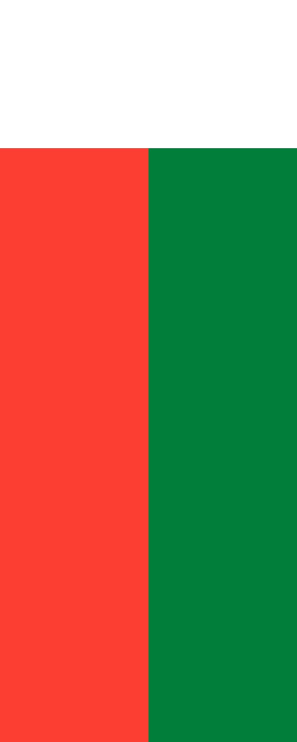 Drapeau Madagascar 300x120cm anti-enroulement | Pavillon vertical 3.5m² visible sans vent