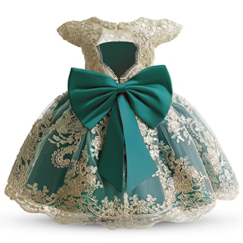 TTYAOVO Baby Girls Flower Dress Birthday Princess Party Lace Outfits2