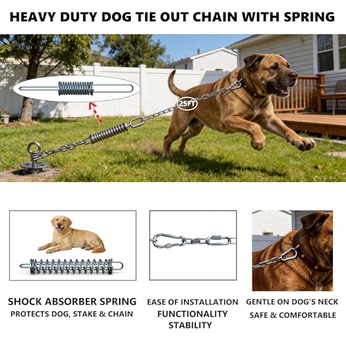 Image of Heavy Duty Dog Tie Out Chain with Spring for Yard, 304 Stainless Steel 4MM Chew Proof Metal Leash for Large Dogs, 200lbs Shock Absorbing Dog Runner Cable (1 Spring+Chain /25ft)