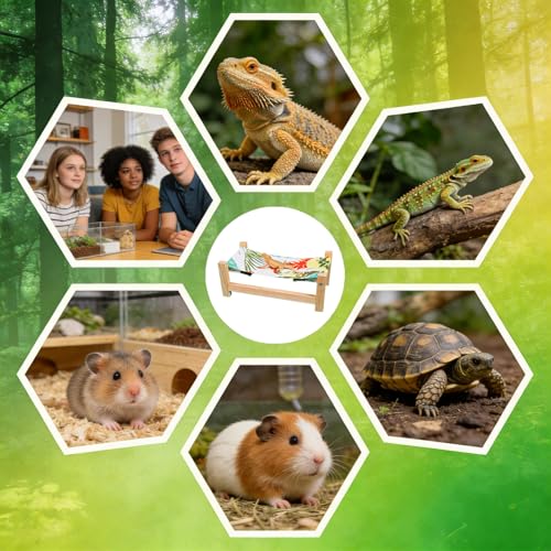 Cama de dragón barbudo accesorio hamaca para dormir en terrario de gecko 5