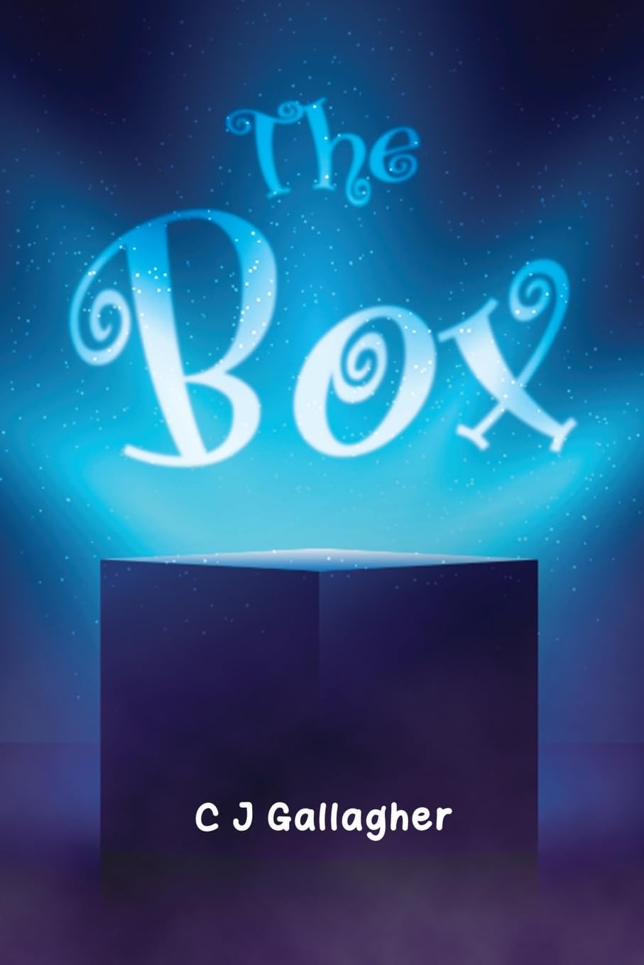 The Box by C J Gallagher (Paperback Book)