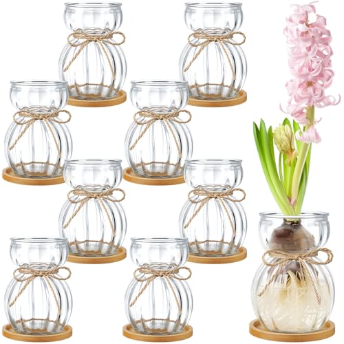LemonRoad 8 Pcs Bulb Glass Vases for Flowers Forcing Hyacinth Avocado Clear Decorative Bulb Vase with Round Bamboo Coaster for Women Gardening Lovers Home Office Plant Table Decoration