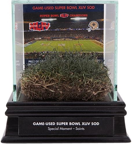 Tracy Porter Interception Superbowl XLIV Logo Game