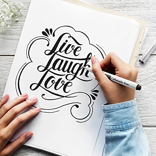 Pandafly Calligraphy Pens, Hand Lettering Pens, Soft And Hard Tip Calligraphy Brush Pen Set For Beginners Writing, Sketching, Art Drawing, Illustration, Scrapbooking, Journaling, 8 Size #TOP4